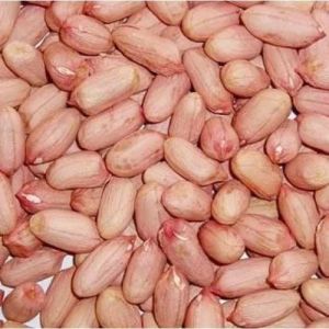 Dry Groundnut Seeds