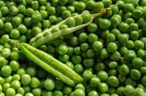 B Grade Green Peas