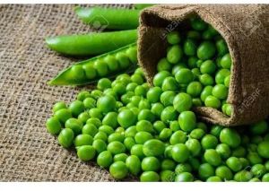 Fresh Green Peas