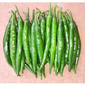 Hybrid Green Chilli