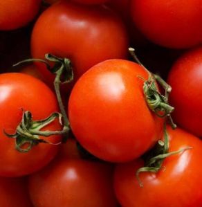 natural red tomato