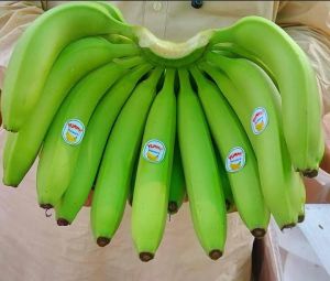 Fresh Green Banana