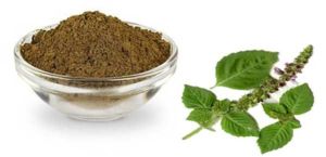 Spray Dried Basil Seeds Powder