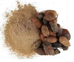 spray dried jamun seed powder