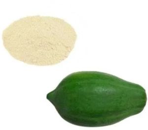 Spray Dried Raw Papaya Powder