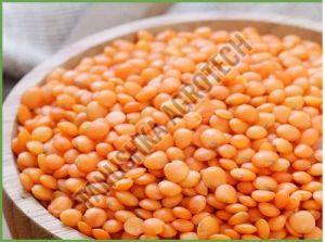 Masoor Dal