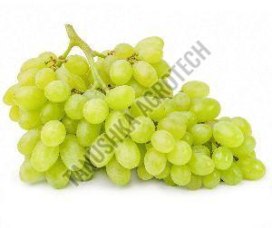 Natural Fresh Grapes