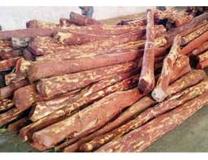 Brown Sheesham Wood Logs