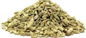 Fennel Seed