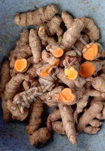 Fresh Raw Turmeric Finger