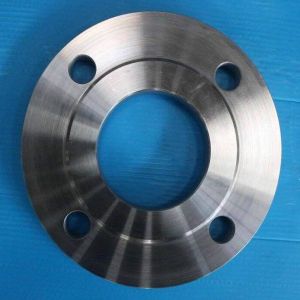 Stainless Steel Slip On Flanges