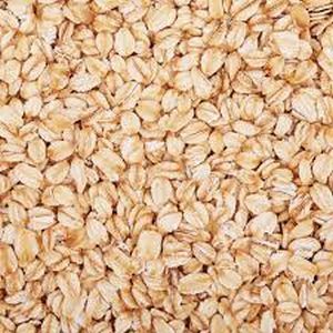 Oat Seeds