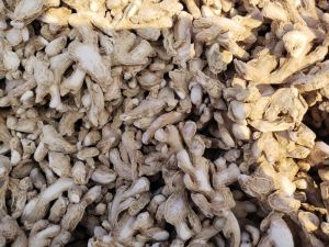 Dry ginger (sonth)