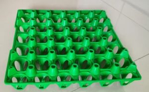 PVC Egg Tray Regular Size