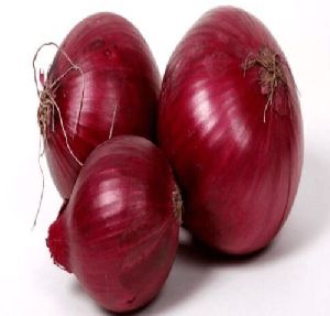 Onion