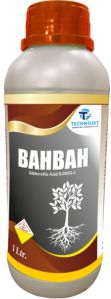 Bahbah Plant Growth Promoter