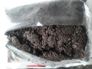 organic vermi compost