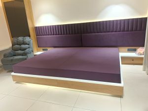 patiya sofa cum bed