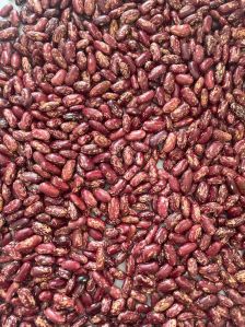 red speckled kidney beans