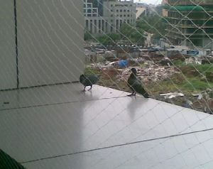 Pigeon Nets for Balcony