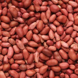 Natural Groundnut Seeds