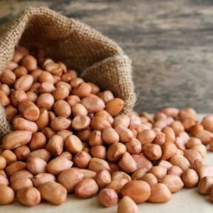 Raw Groundnut Seeds