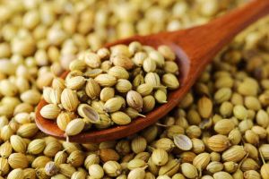 Coriander Seeds