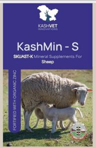 Kashvet Kashmin-S mineral mixture