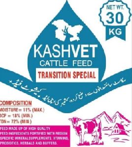 Kashvet Transition special