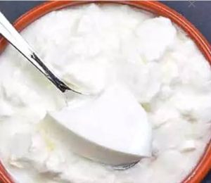 Fresh Dahi