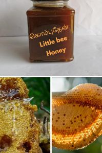 Pure Forest Honey HONEY AMLA