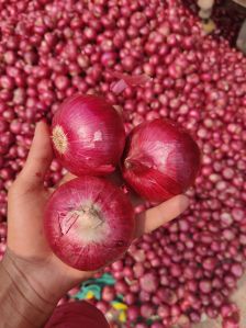 Nashik Onion