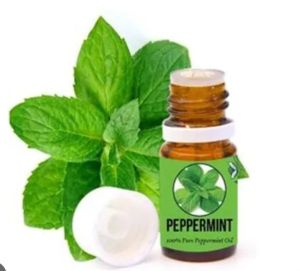 pepermint oil