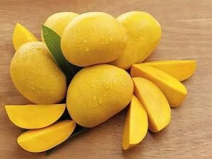 Fresh Alphonso Mango