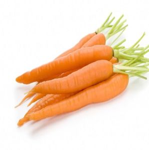 Fresh Carrot Orange