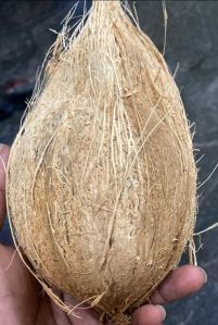 Fresh Coconuts