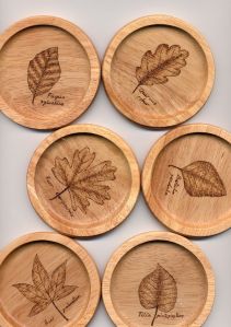 wood coaster