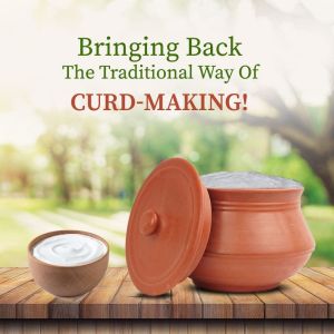 clay curd making clay pot