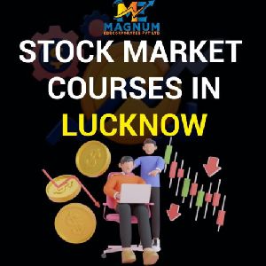 Stock Market Training