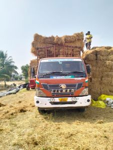 Ragi straw