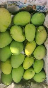 Mango Fruit