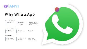 Whatsapp Api