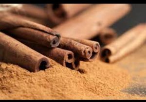 Cinnamon Extract