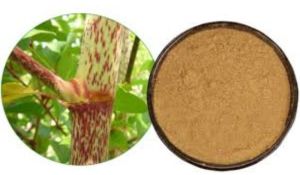 Knotweed Extract