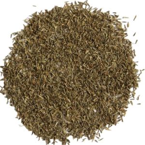 Stevia Seed