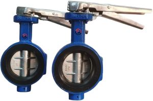 Butterfly Valves