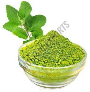 Tulsi Powder