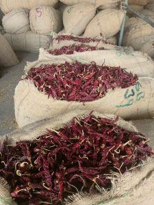 guntur dried red chilli