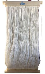 Membrane Bio-Reactor