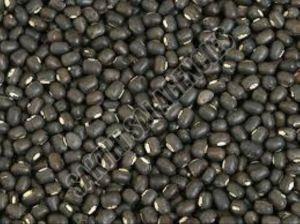 Whole Urad Dal